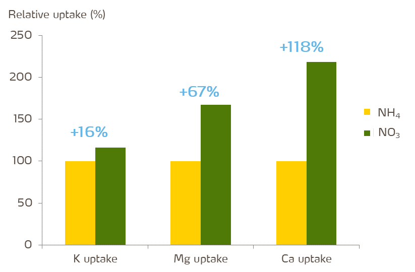 nutrient availability