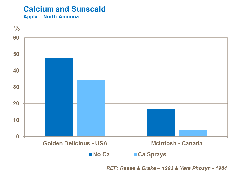 Calcium and Sunscald