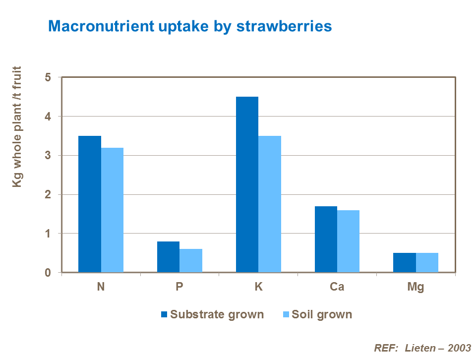Macronutrient uptake of strawberries