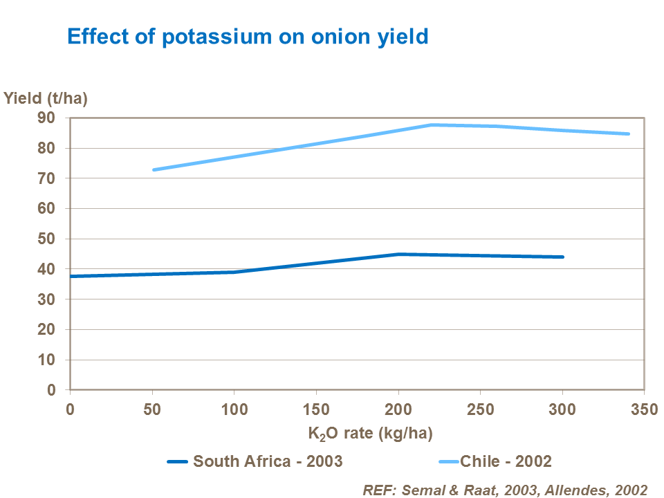 Effect of potassium on onion yield