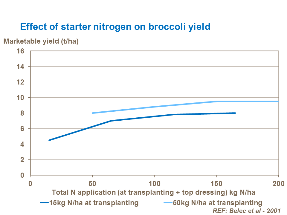 Effect of starter nitrogen on broccoli yield