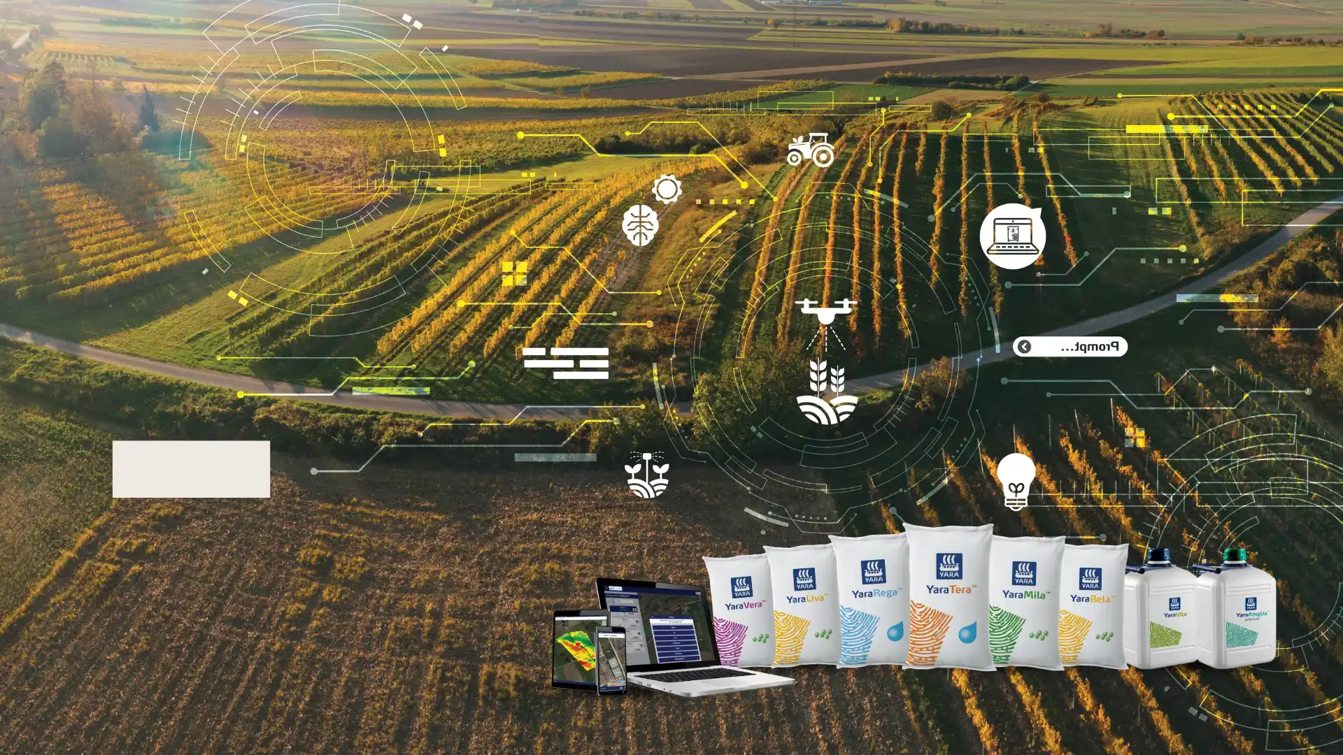 Turn field insights into better decisions.