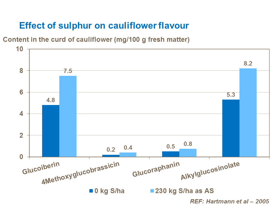 Effect of sulphur on cauliflower flavour