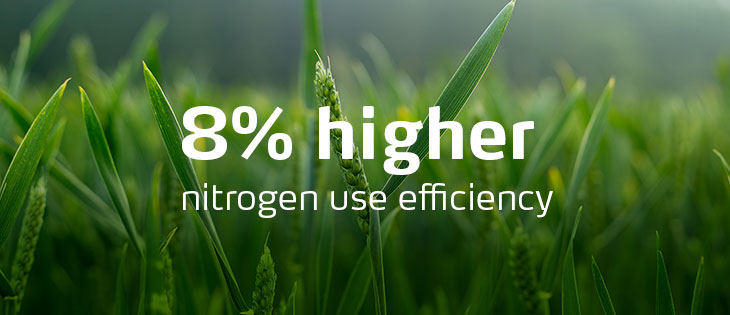 Nitrogen-use efficiency