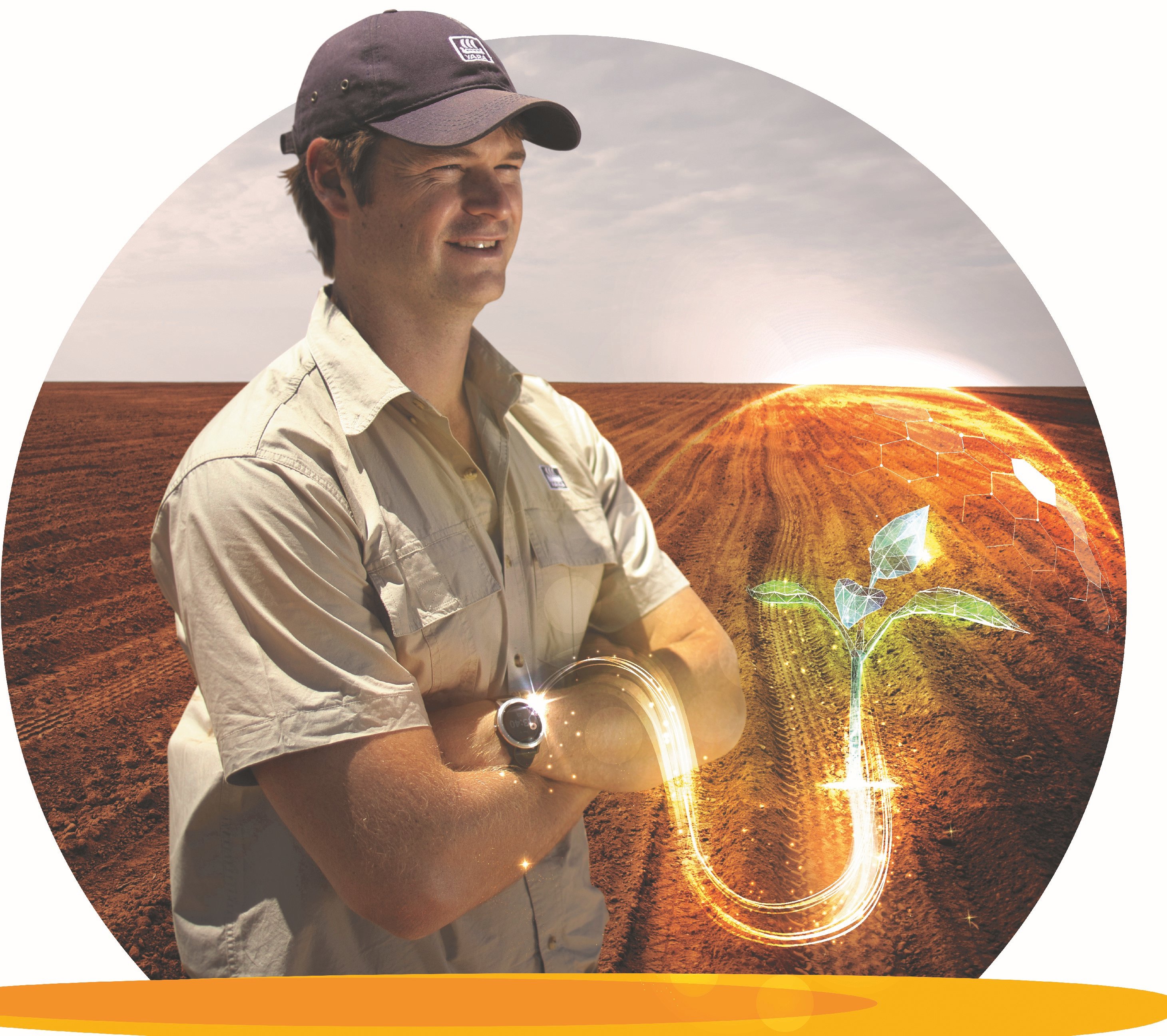 AllFarm Digital Transformation