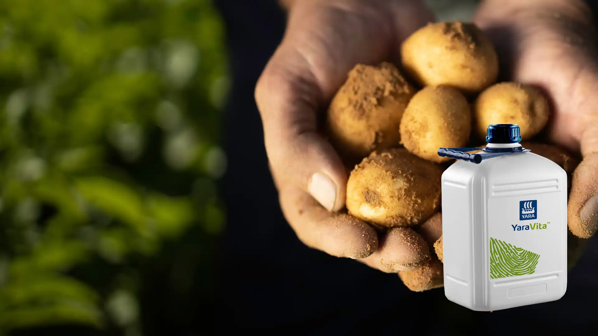 Give your crop more of what it needs.